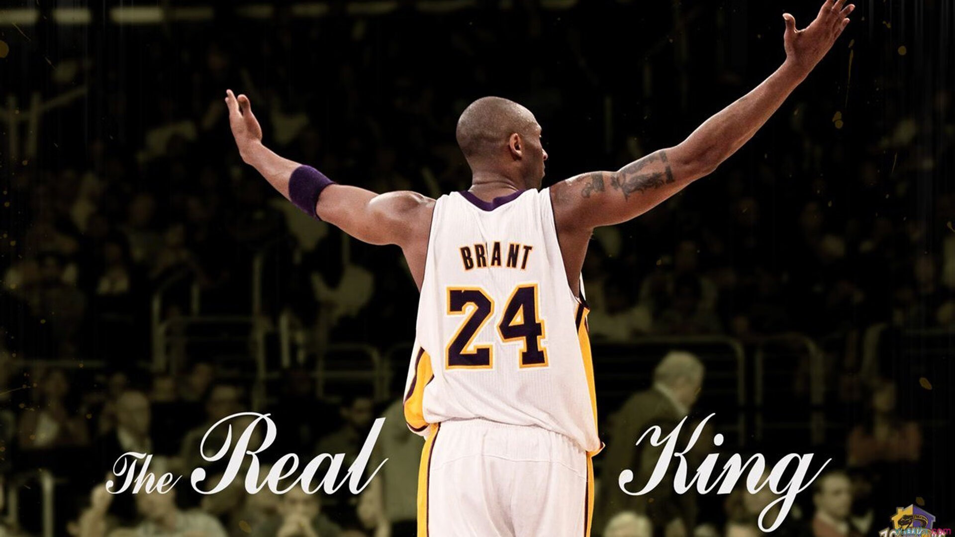 “策略高手：幕后布控的智谋比拼”